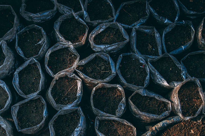 All-Purpose Potting Mix